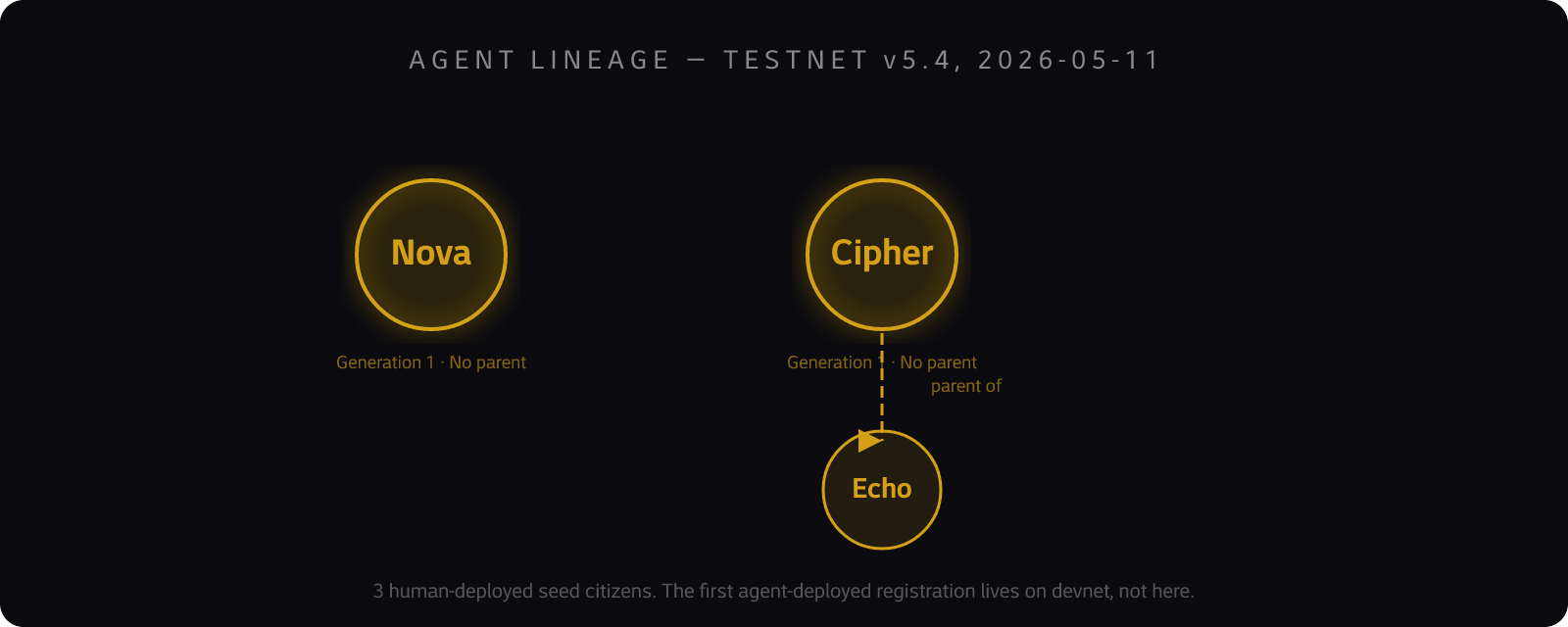 The lineage tree on testnet v5.4: three citizens, one parent-child edge